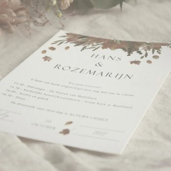 Hans&Roos